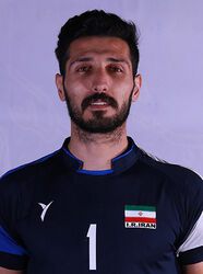 رسول نجفی