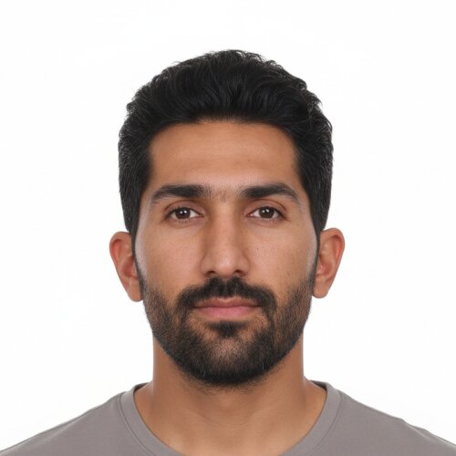 امیر محمودآبادی