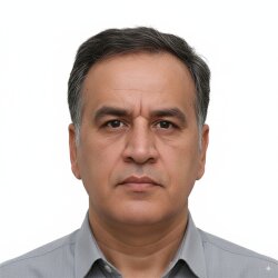احمد مددی