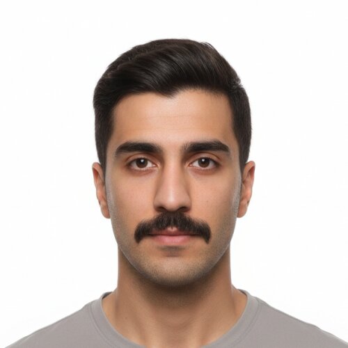 محمد بیرانوند