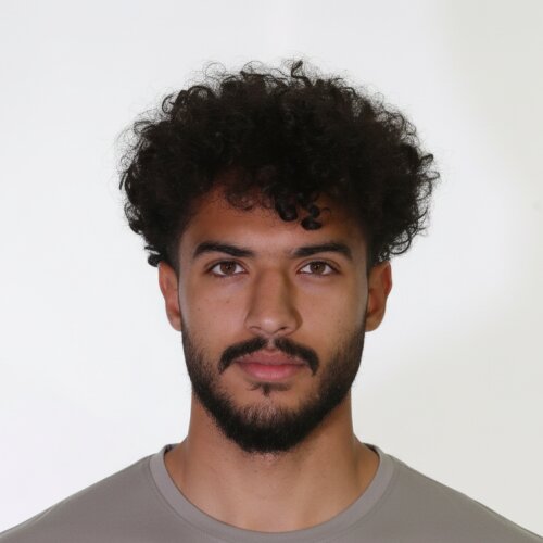 محمدمهدی امینی راد