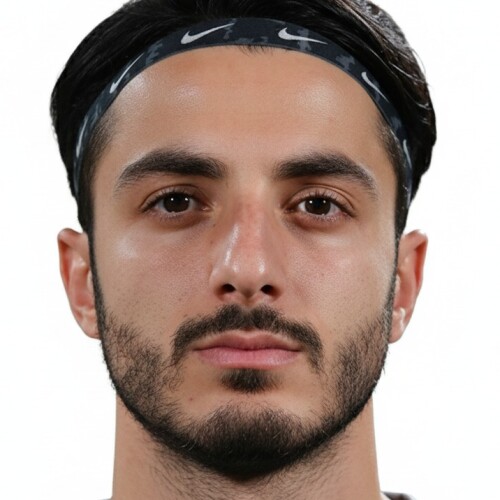 محمدمهدی لطفی