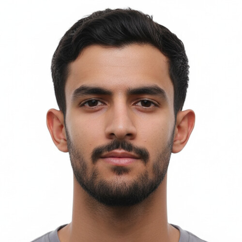 امیرحسین پلنگی