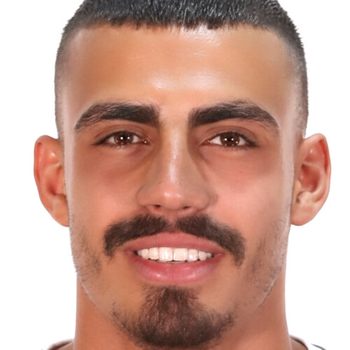 مهران محمودی