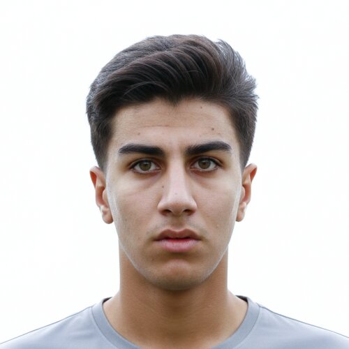 محمد مهدی انصاری