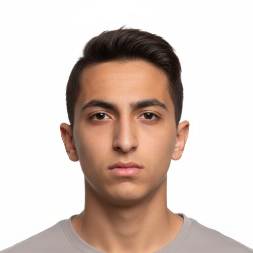 مانی محمودی