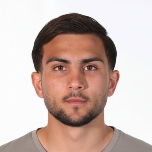 امیرحسین فرخی