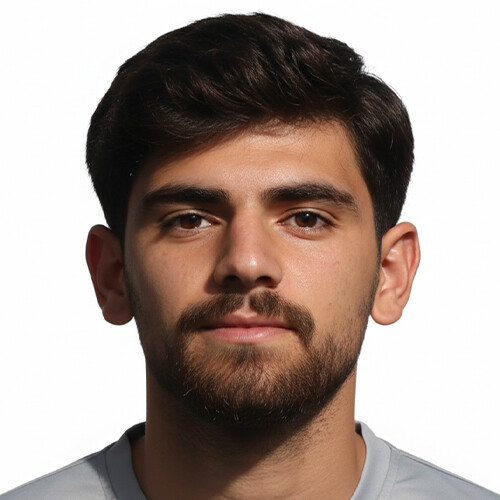 مهدی رهبری تولون