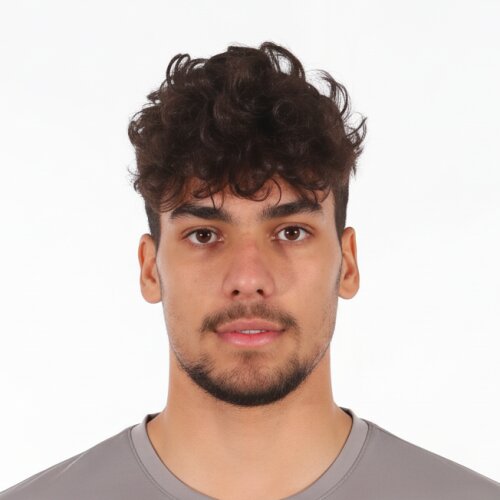 امیرحسین امینی