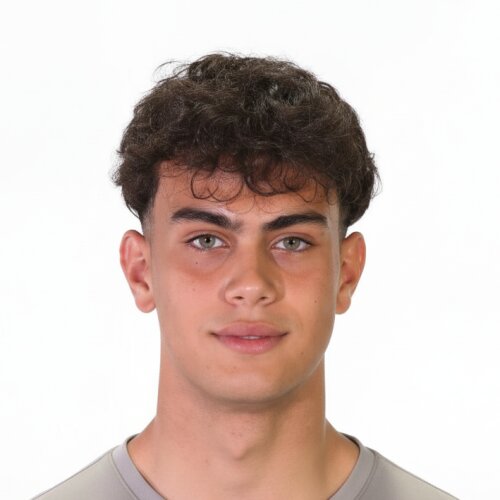 امیرهمایون شفیعی