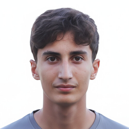 امیرحسین شرف یوسفی