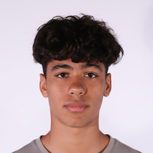 امیرمحمد زارعی