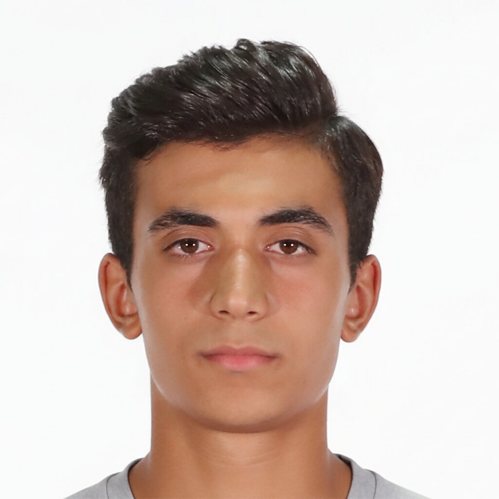 امیرپارسا حاتمی صفت