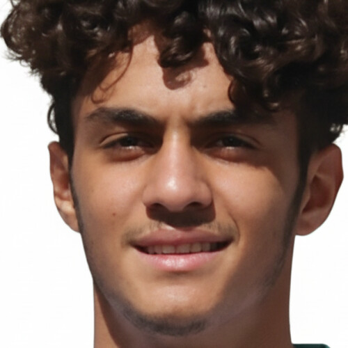 آرین رادین کیا