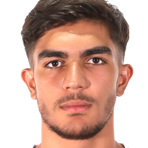 محمدطاها اسدی گاورقلعه