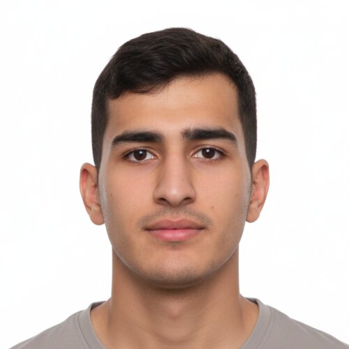 سید امیرحسین حمزه