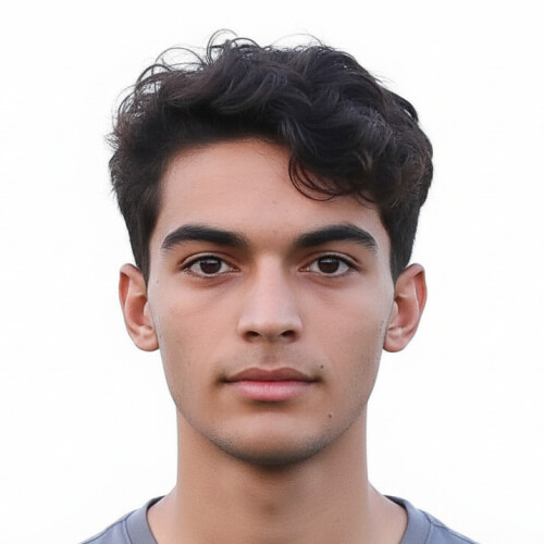 محمدطاها امین