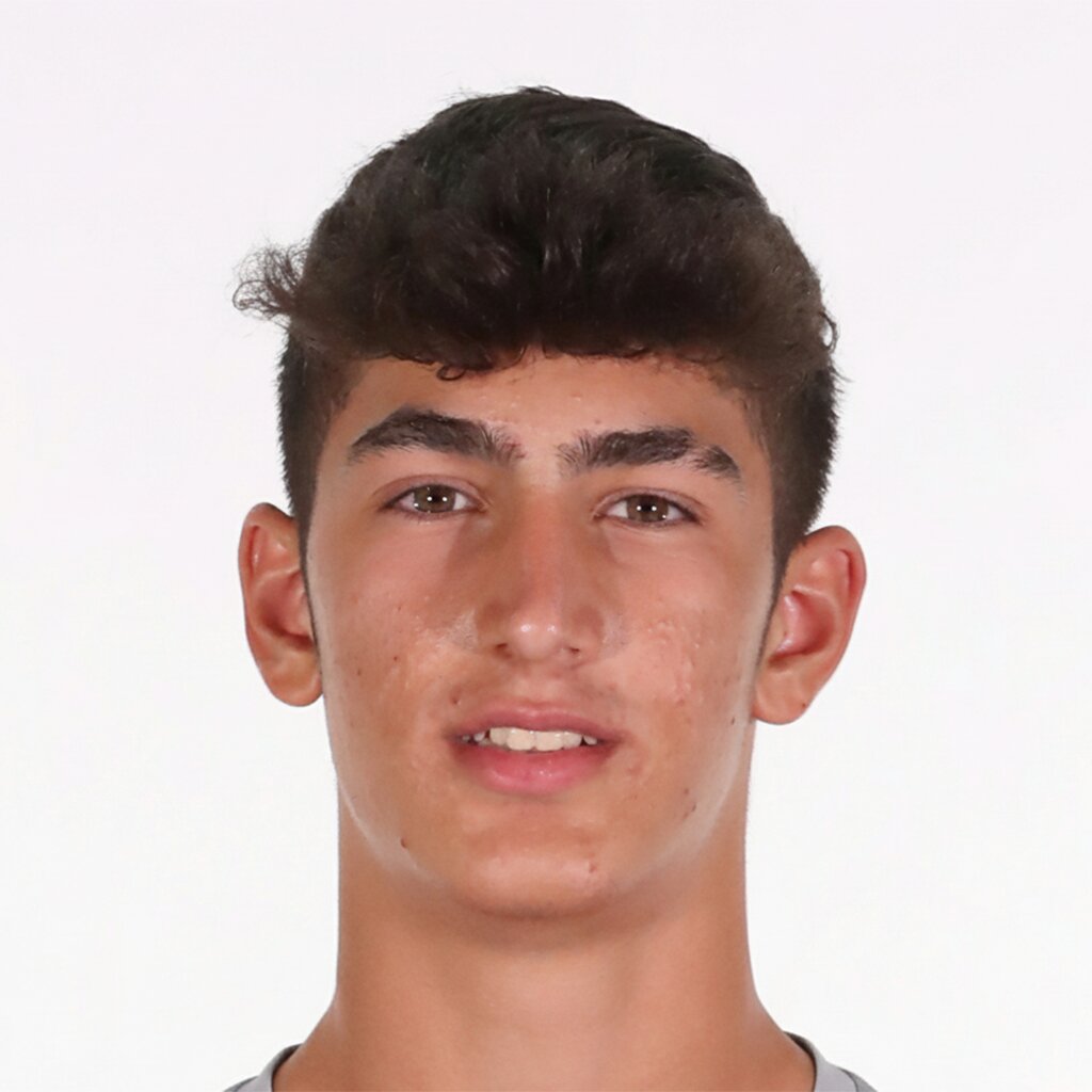 امیرحسین صادقی سرخنی