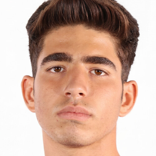 محمدمهدی کولیوند