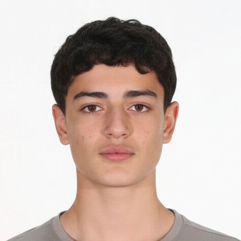 امیرعلی فردی