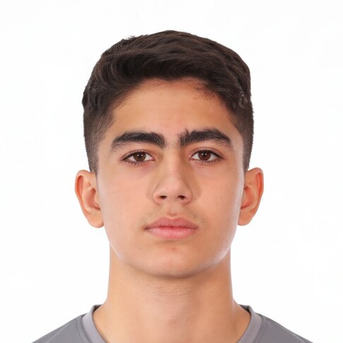 امیرحسین محمودآبادی