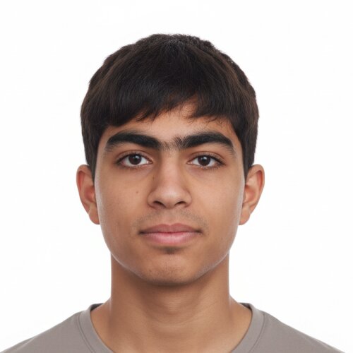 امیررضا محمودی