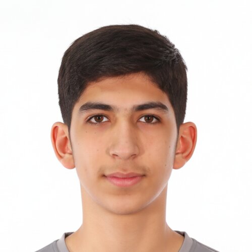 امیرطاها رسول زاده اوزمچلوئی