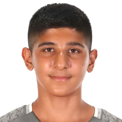 نیما کاظمی گردرودباری