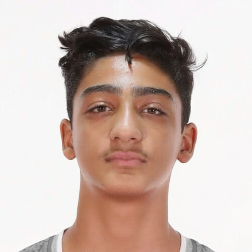 محراب نورمحمدی