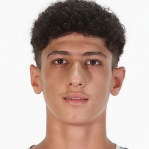 ماهان محمدی منجیری