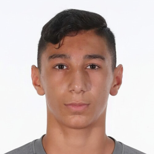 امیرعلی عرب