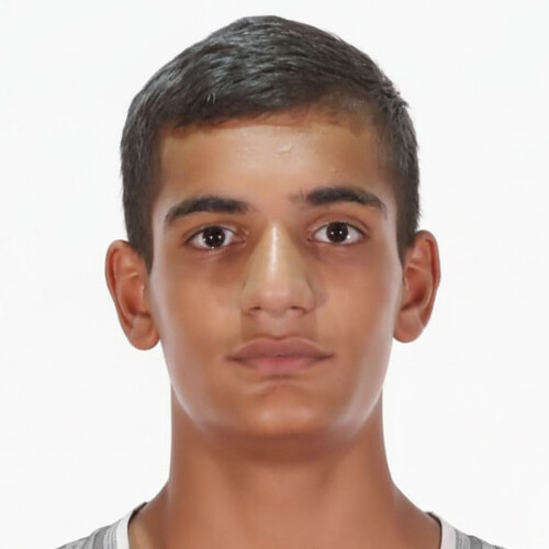 ارشیا محمودی