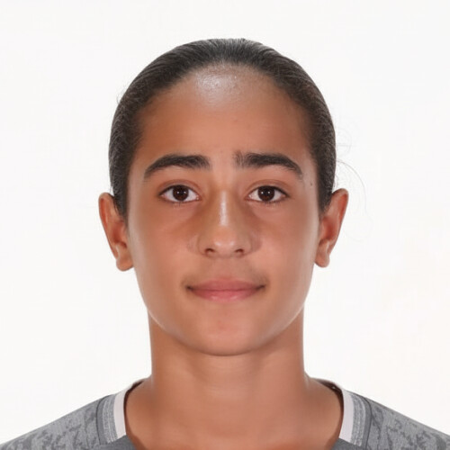 امیرمحمد برومندزاده