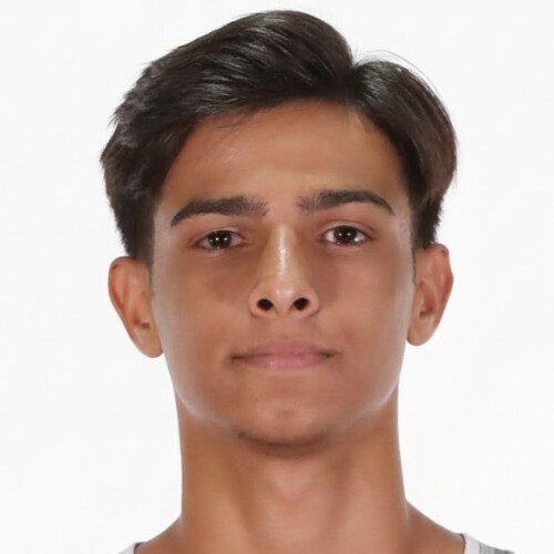 محمدطاها بیات شهبازی