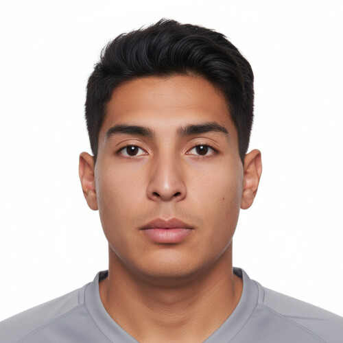 پارسا موجرلو