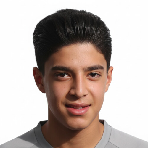 حسام الدین احمدلو