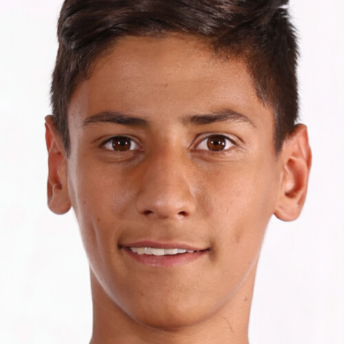 مهیار نامدار گل خطمی