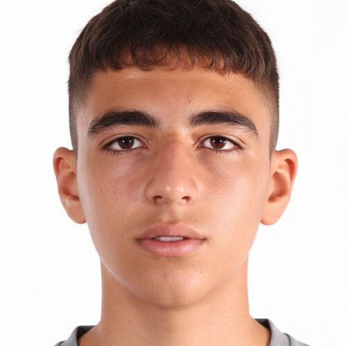 امیرمحمد گیلانی