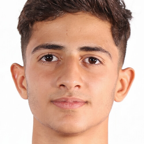 محمدرضا امامی