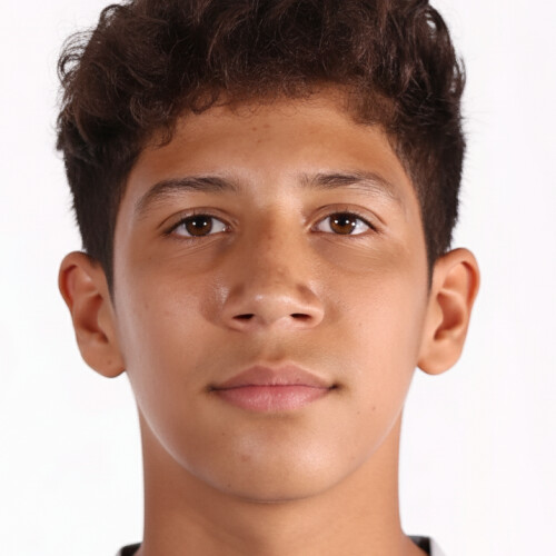 امیرعلی حمیدی