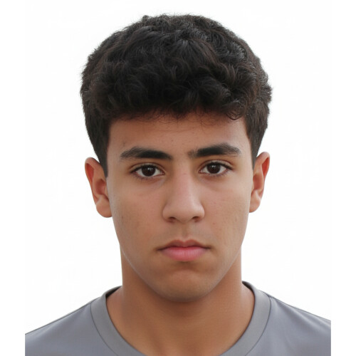 رادمان رادمنش