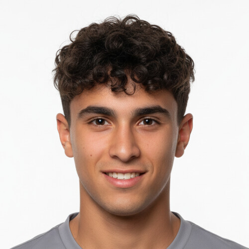 آرتام شاهولی