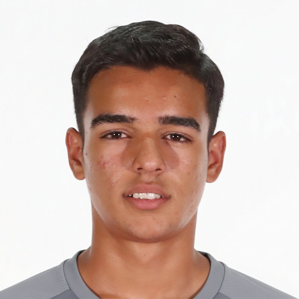 محمدامین مافی