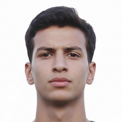 امیرعلی پناهی