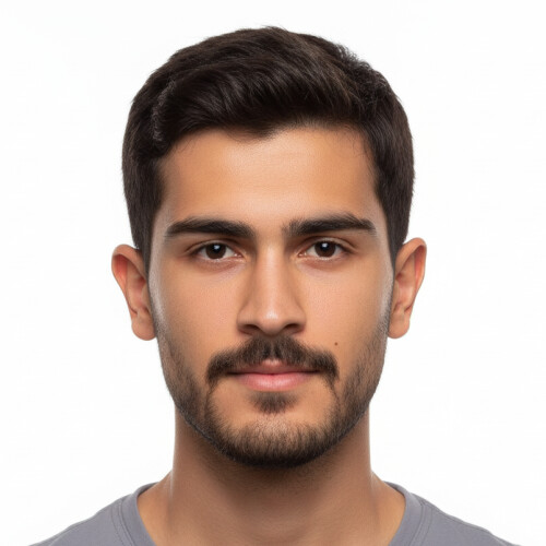 امیر حسین حسنی