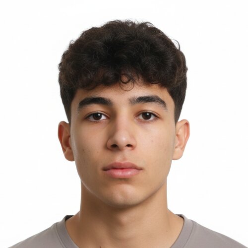 آریا شفیعی دوست