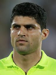 حمید حاج ملک