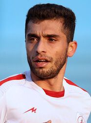 حامد زمانی