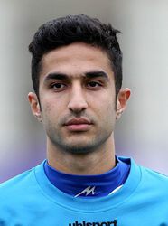 هادی محمدی