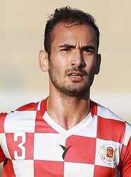 محمد امینی